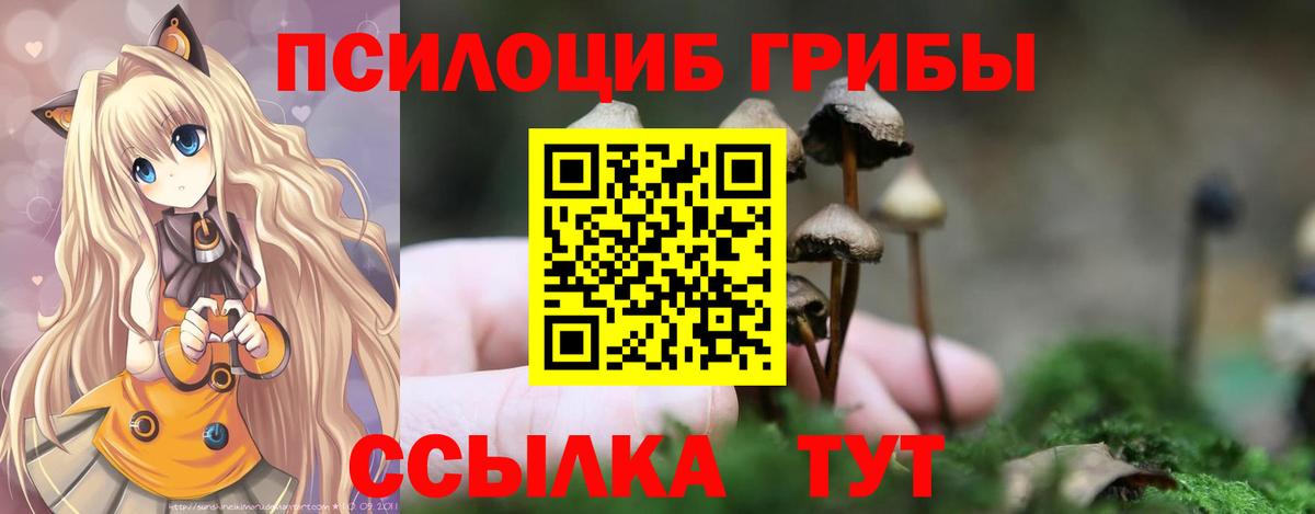 Псилоцибиновые грибы Psilocybe  Вход с VPN  Новотроицк  Псилоцибиновые грибы мицелий 