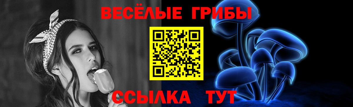 Псилоцибиновые грибы Psilocybe Новотроицк